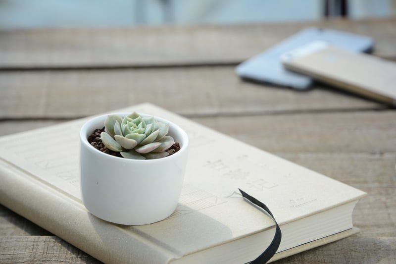 Upcycled Planters